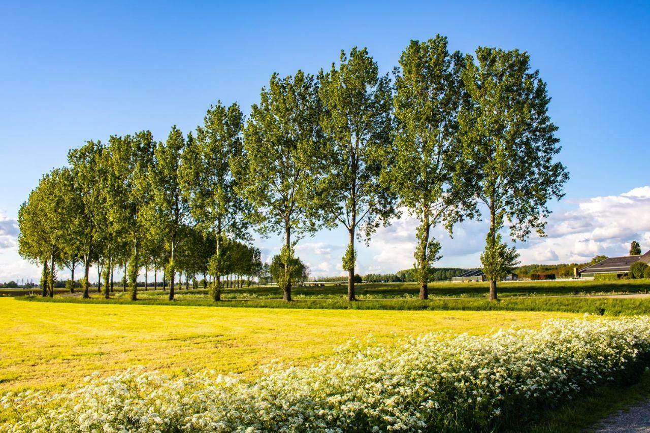 Van Doremaele Luxury Guesthouse Velddriel Zewnętrze zdjęcie